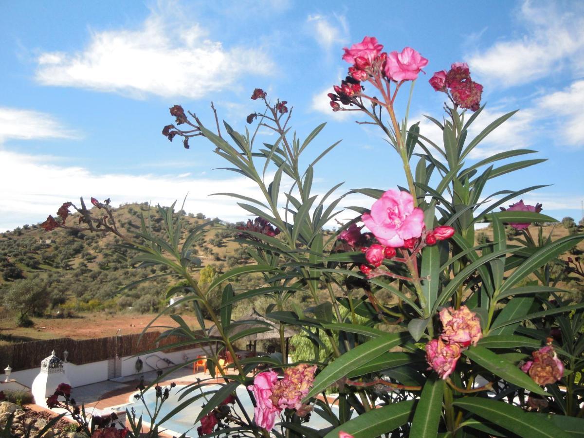 B&B Casa El Corasueno Almogia Bagian luar foto